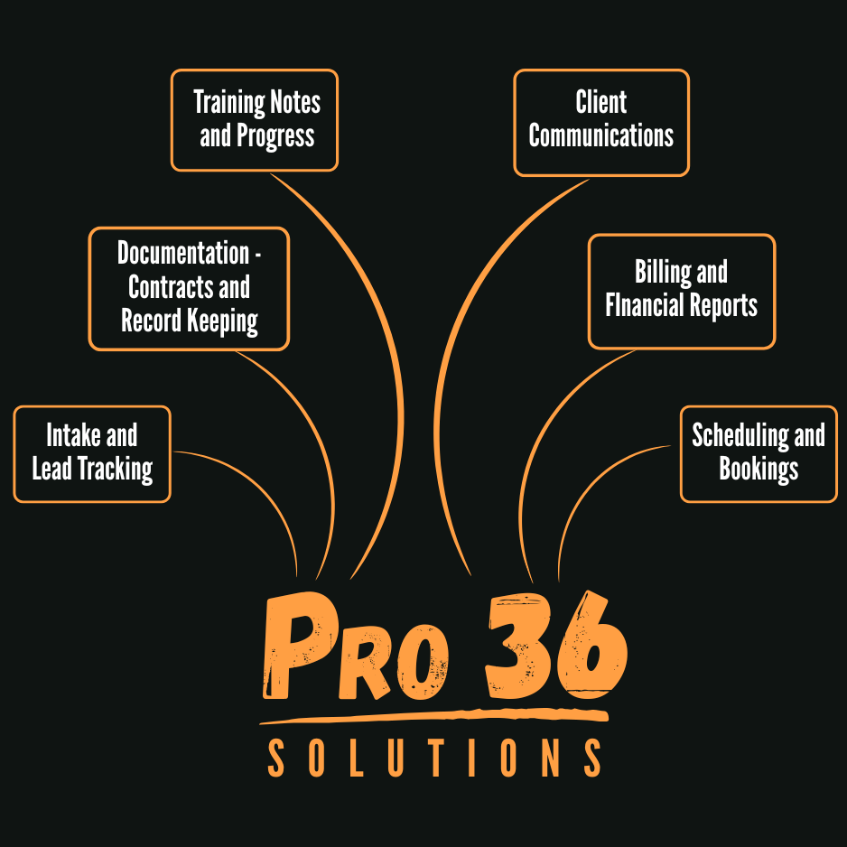 Diagram showing intake and lead tracking, documentation, training notes and progress, client communications, billing and financial reports, and scheduling and bookings, all connected to Pro 36 Solutions